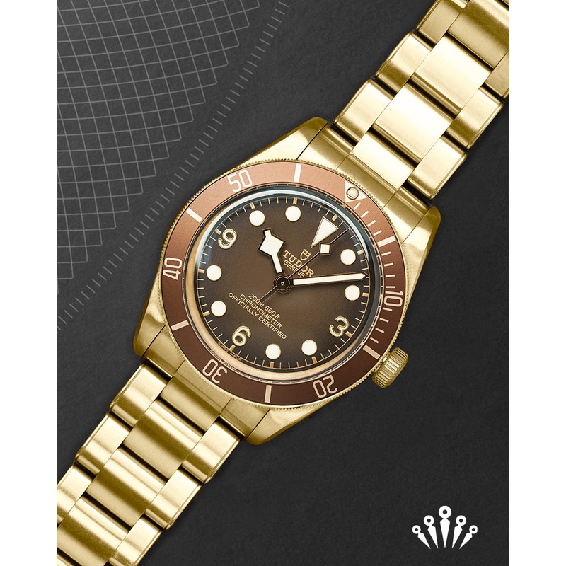Tudor Black Bay 58 Bronze